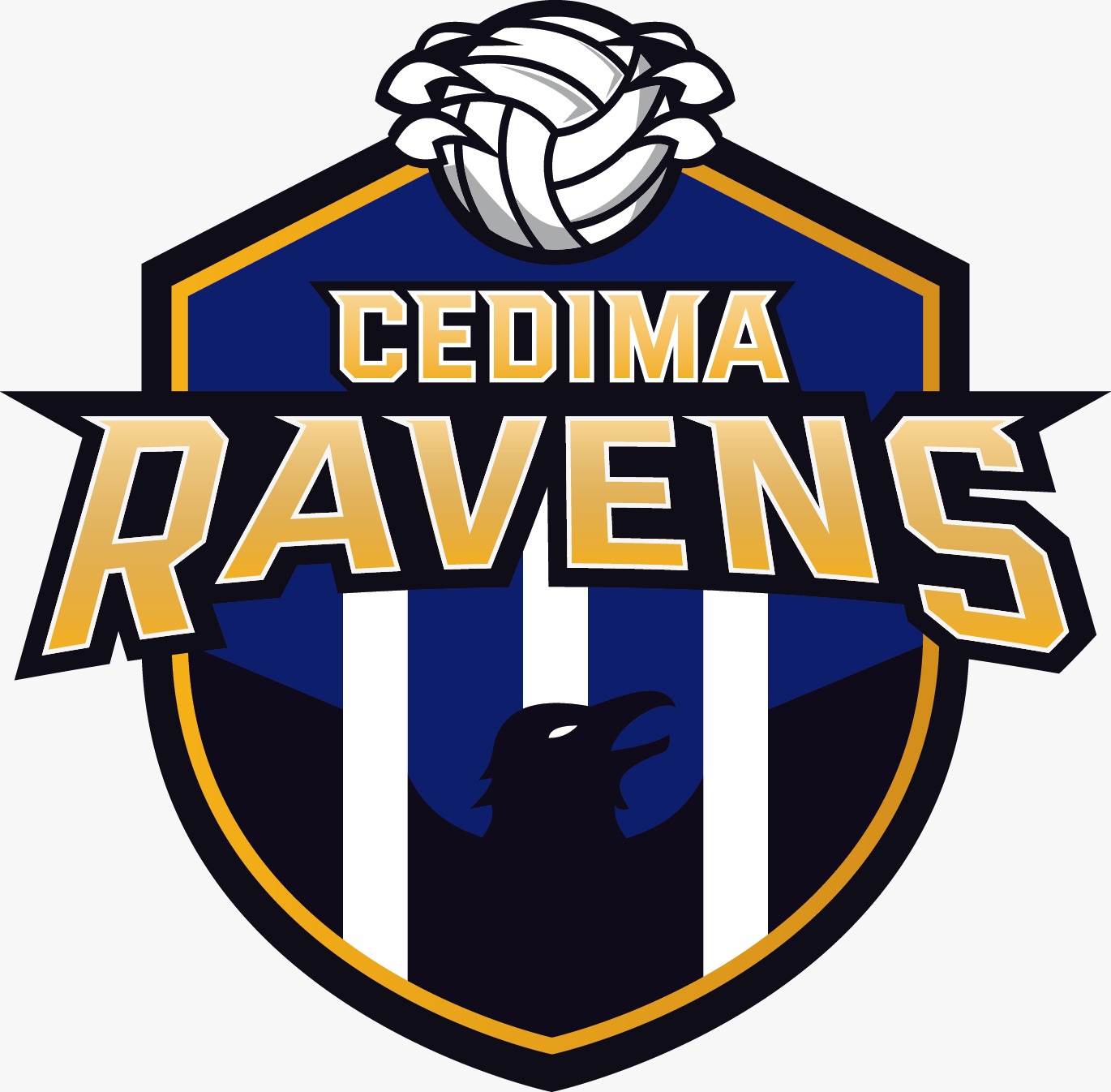 CEDIMA